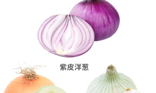 国民营养计划双蛋白工程产品-国民营养计划受益股网- 国民营养计划2017至2030知识,分享国民营养计划中